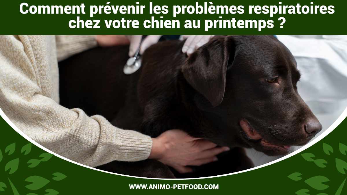 prevenir-les-problemes-respiratoires-chez-votre-chien